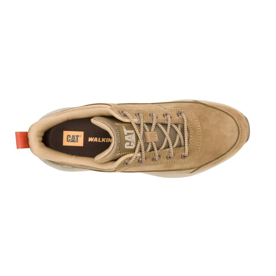 Surge Hiker Lo